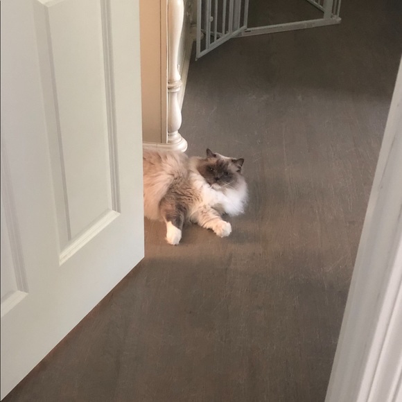 REBRANDING!! - Picture 11 of 13